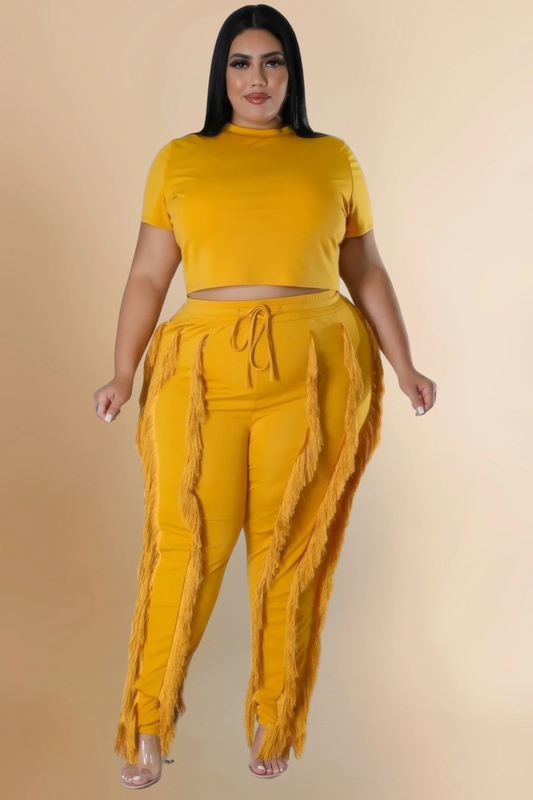 Hip Shaker Set