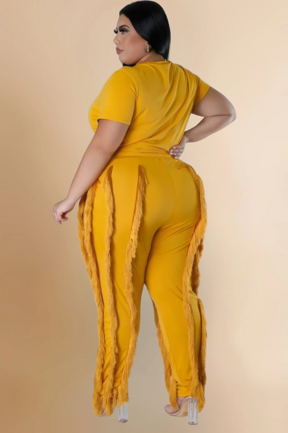 Hip Shaker Set